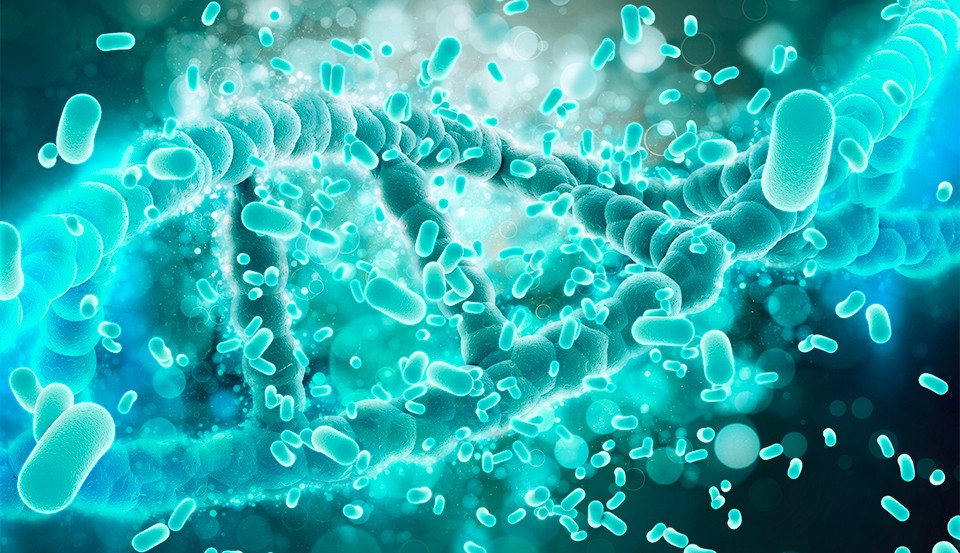 Resistências Bacterianas