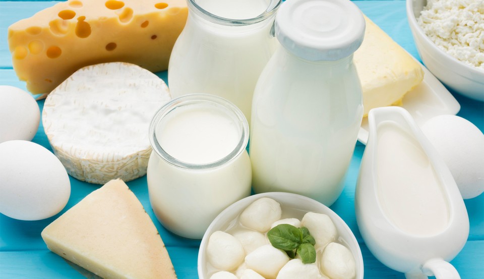 Dúvidas Frequentes: Intolerância à Lactose
