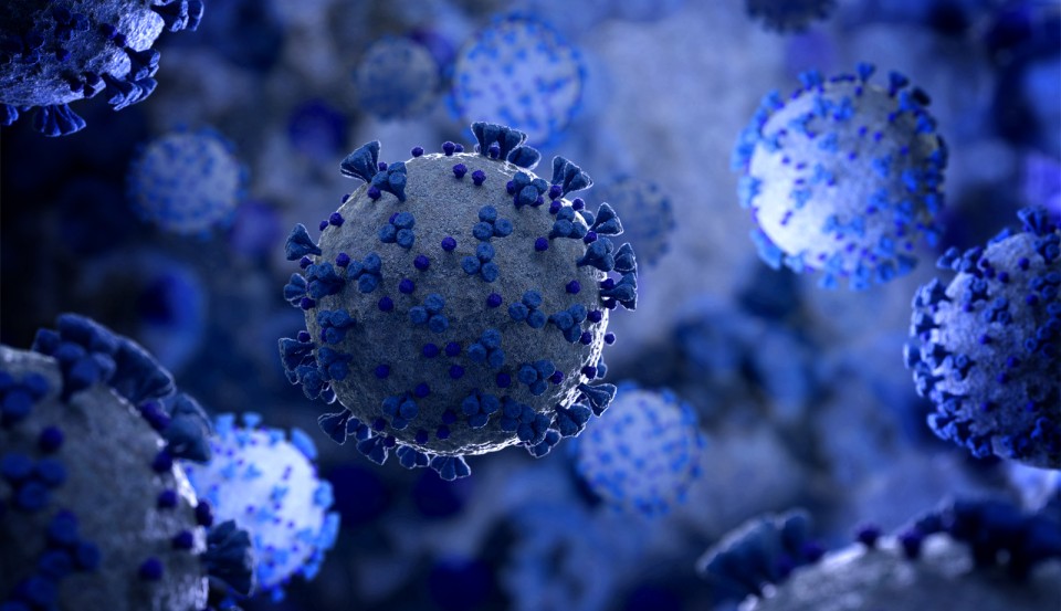 Doenças Respiratórias Provocadas por VÍRUS/Identificação Laboratorial